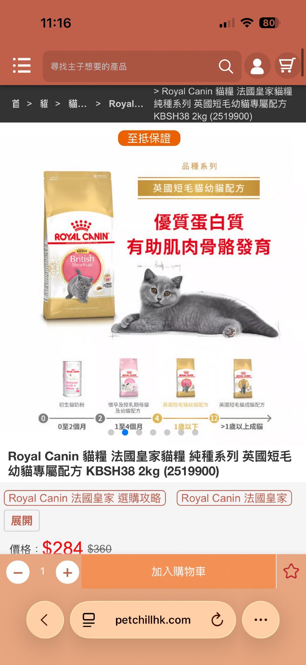 Royal Canin British Shorthair Kitten