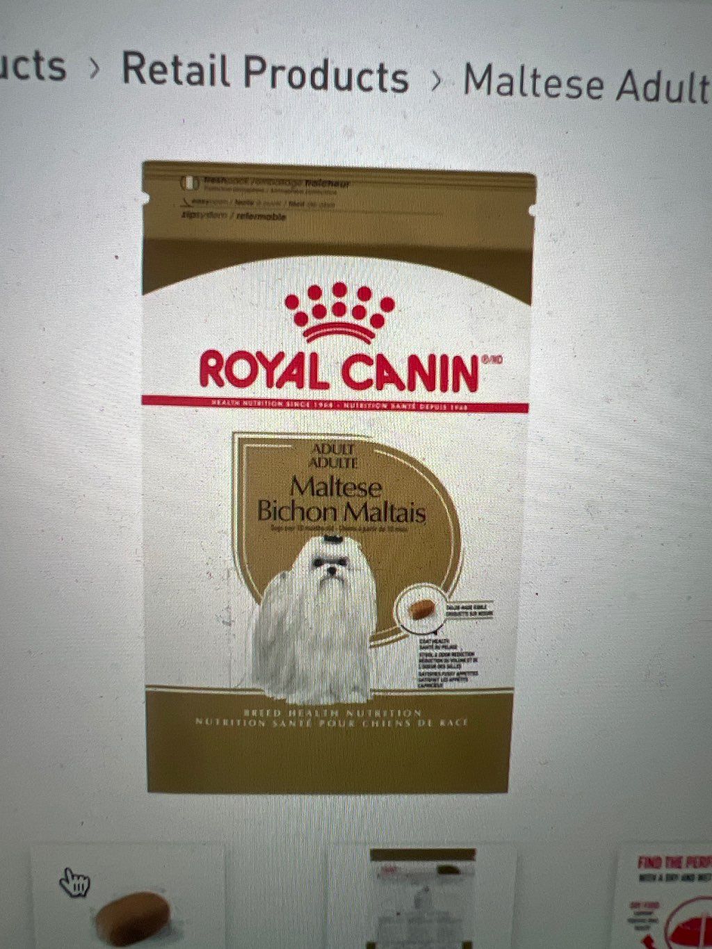 Royal Canin Maltese Adult