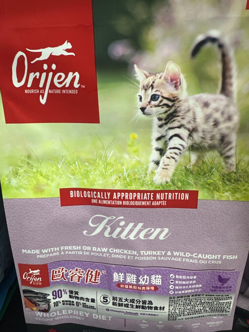 Orijen Kitten