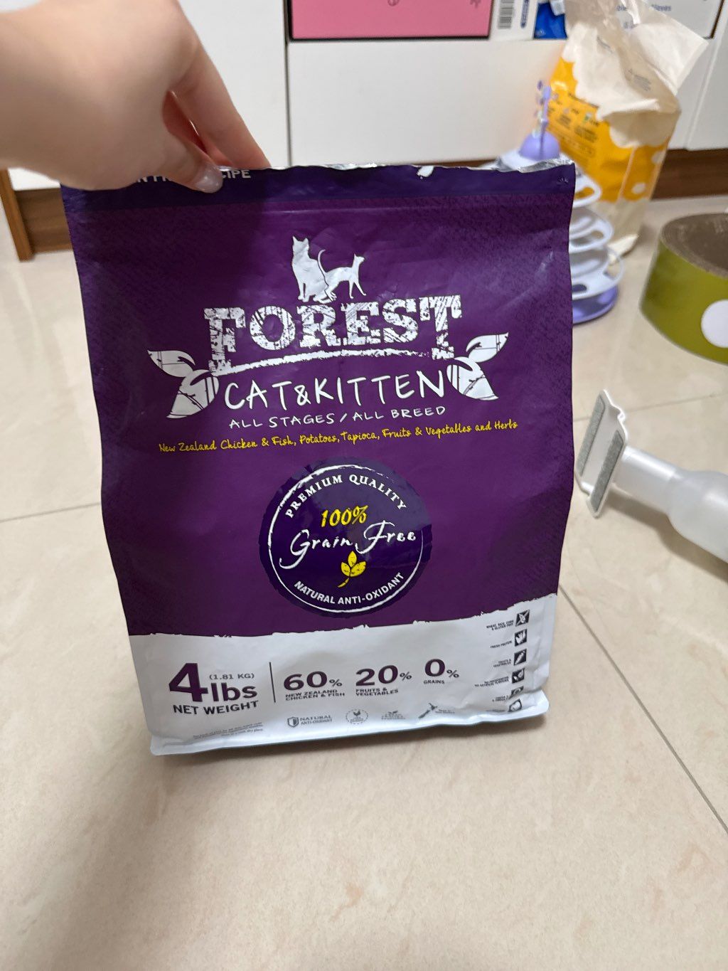 Forest Cat & Kitten All Stages / All Breed