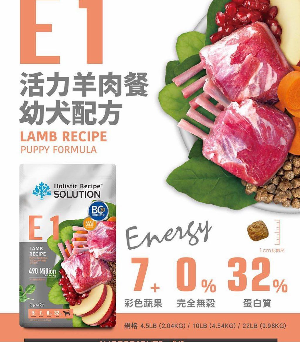 Holistic Recipe Solution E1 Lamb Recipe Puppy Formula