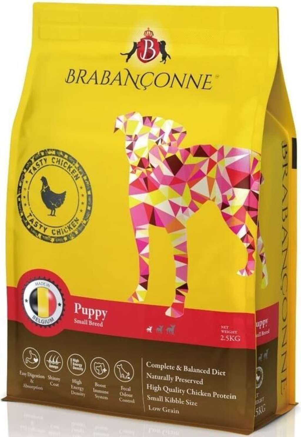 Brabanconne Puppy Small Breed