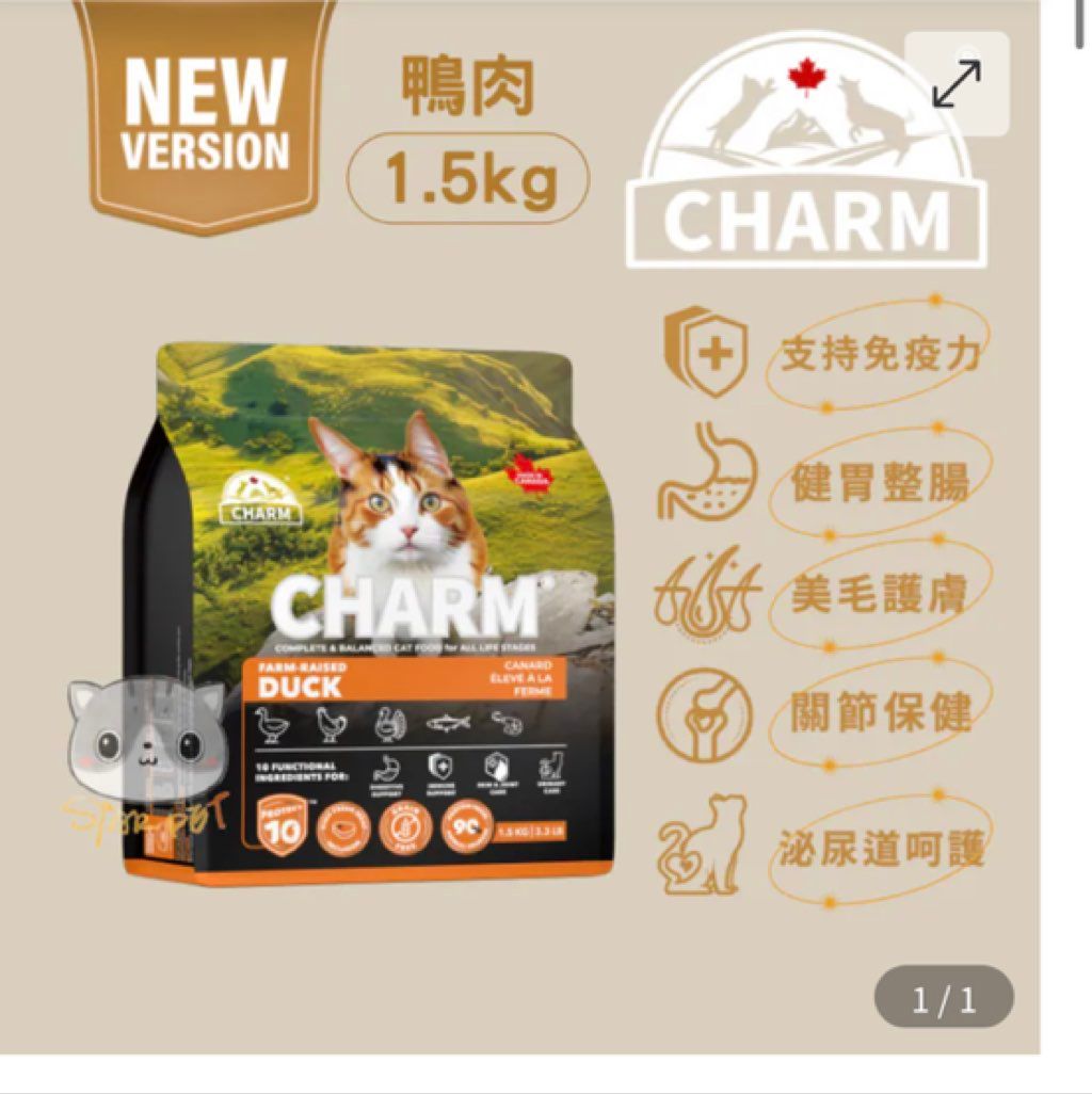 CHARM Duck