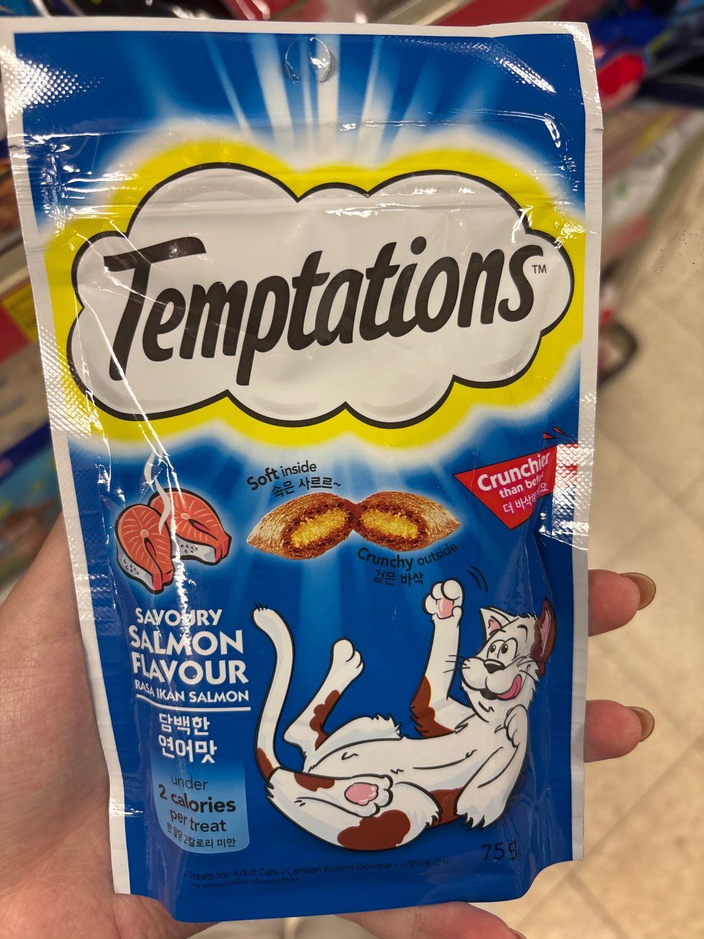 Temptations Savoury Salmon Flavour
