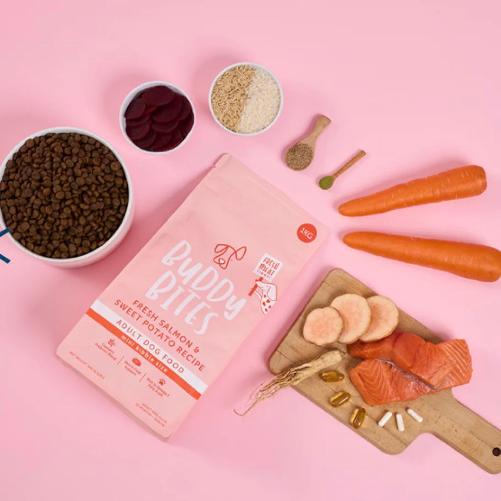 Buddy Bites Fresh Salmon & Sweet Potato Recipe Adult Dog Food