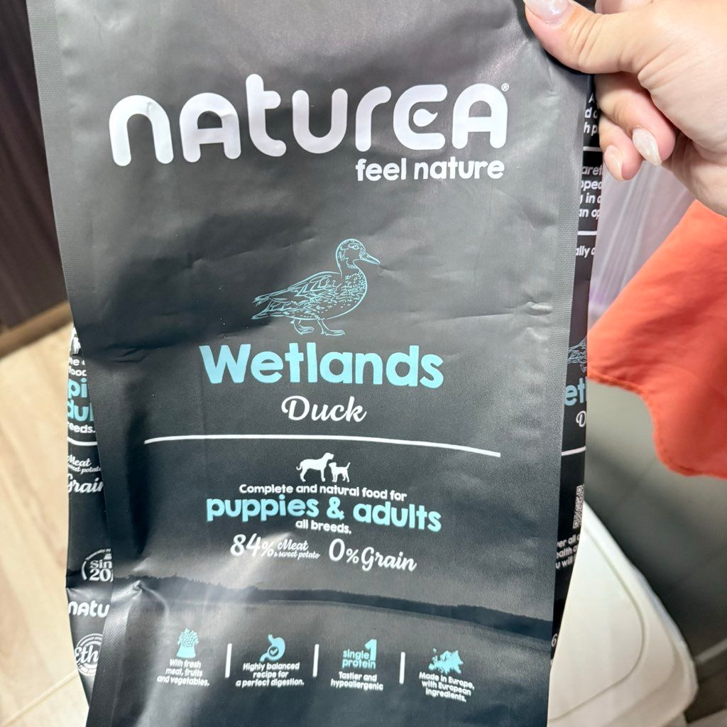 Naturea Wetlands Duck