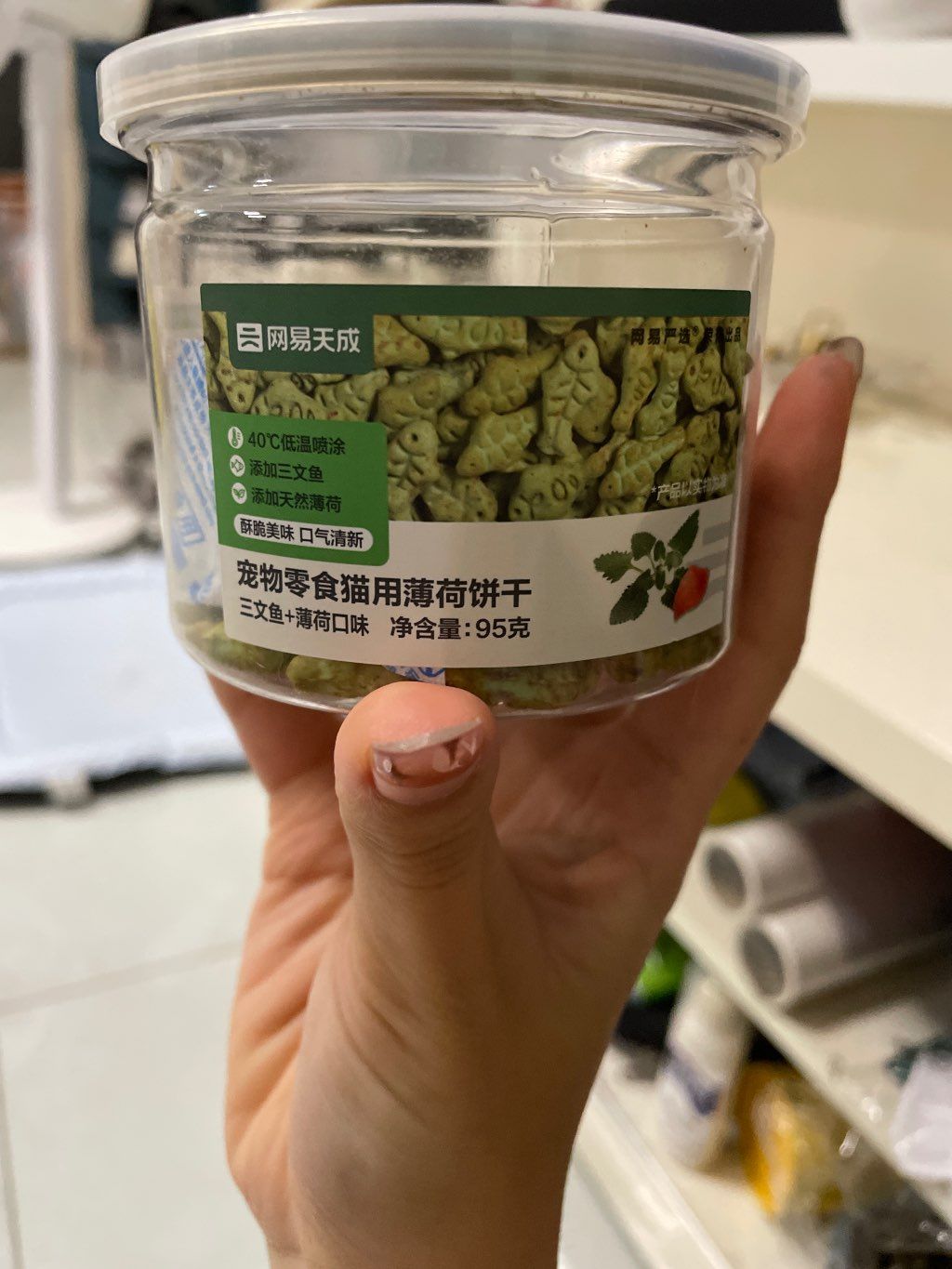 NetEase Tiancheng Cat Mint Biscuits Salmon + Mint Flavor