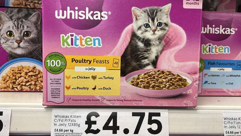 Whiskas Kitten Poultry Feasts in Jelly (2 of 3)