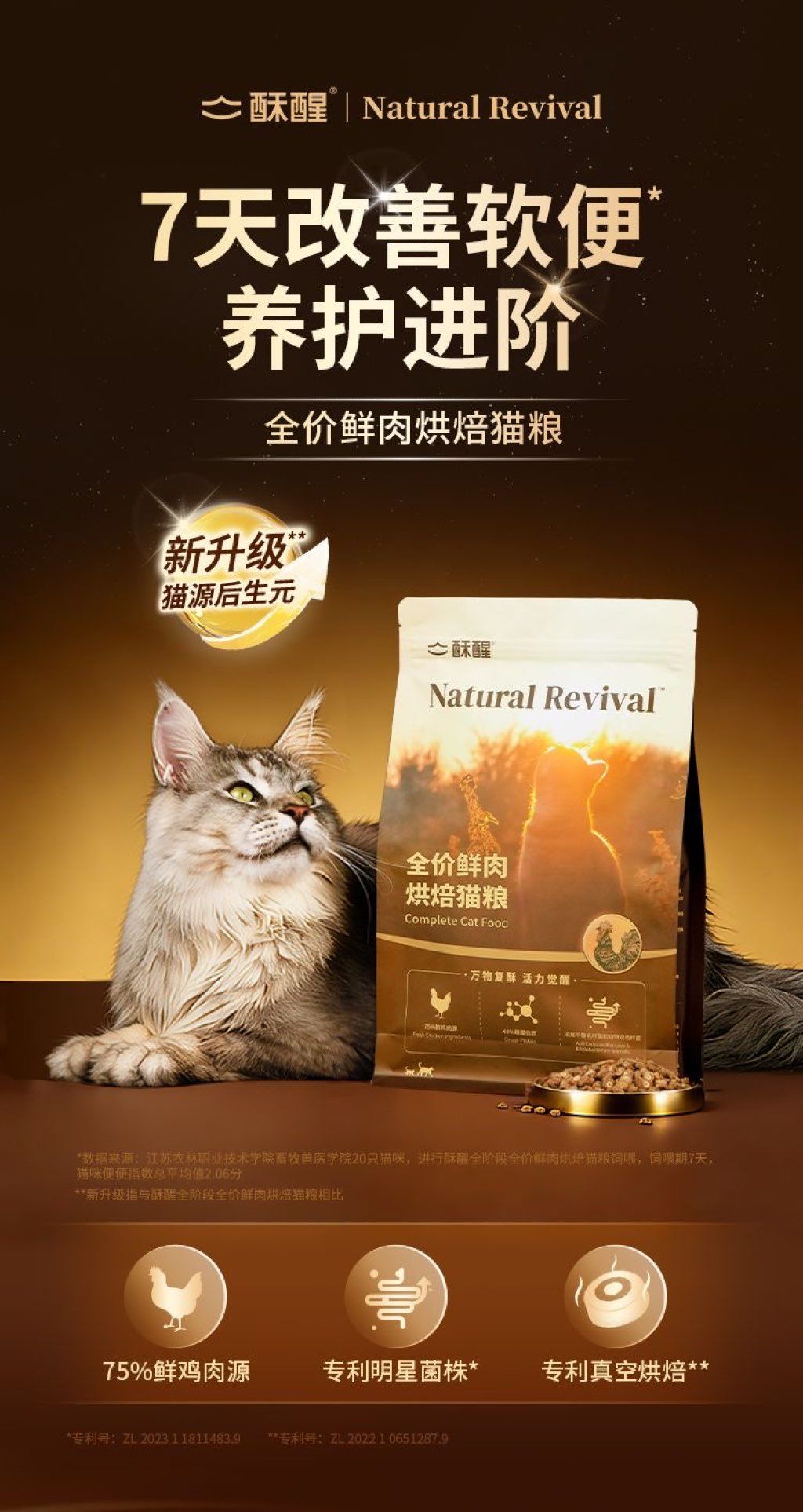 Complete Fresh Meat Baked Cat Food