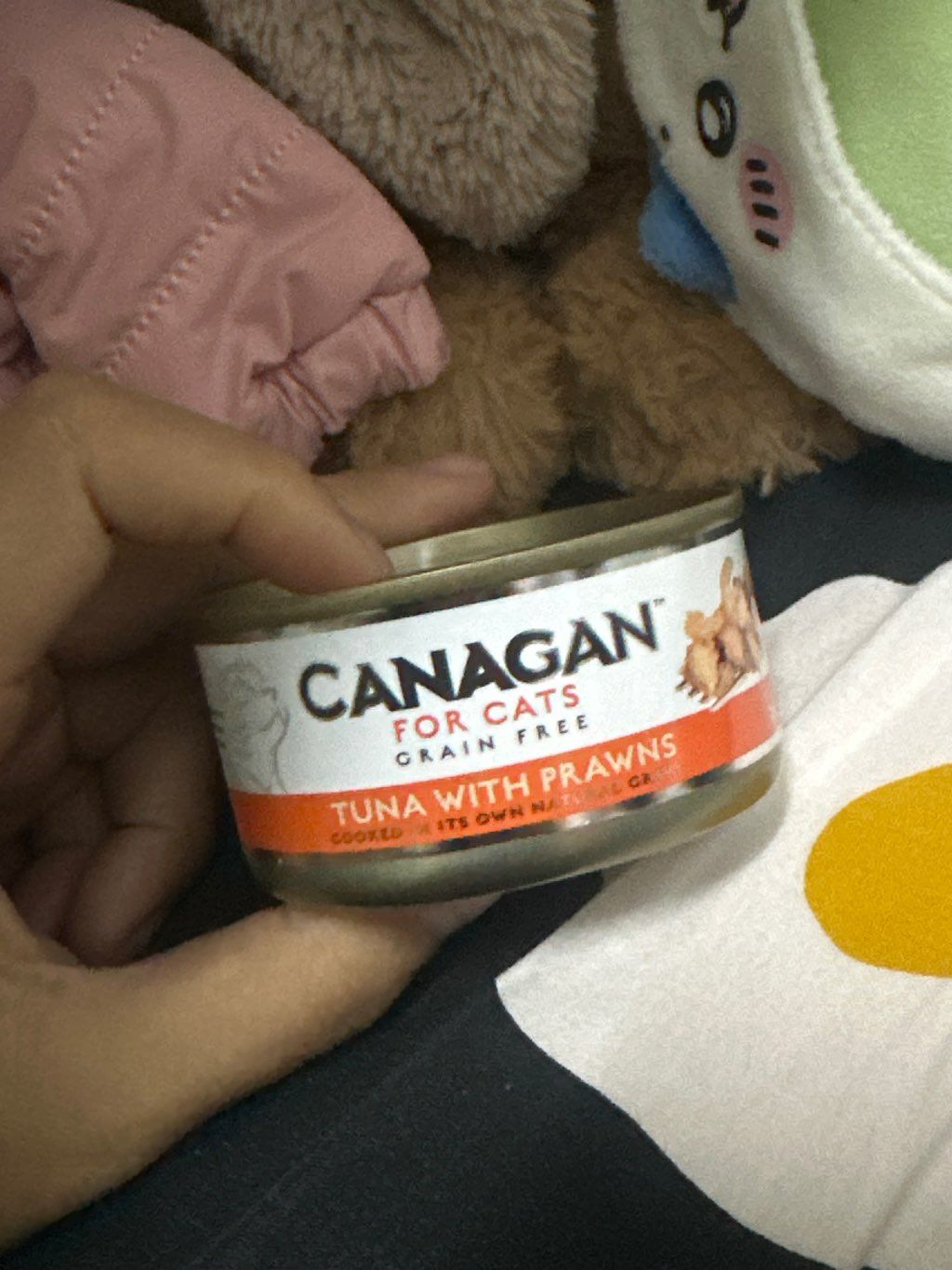 Canagan Tuna with Prawns (2 of 3)