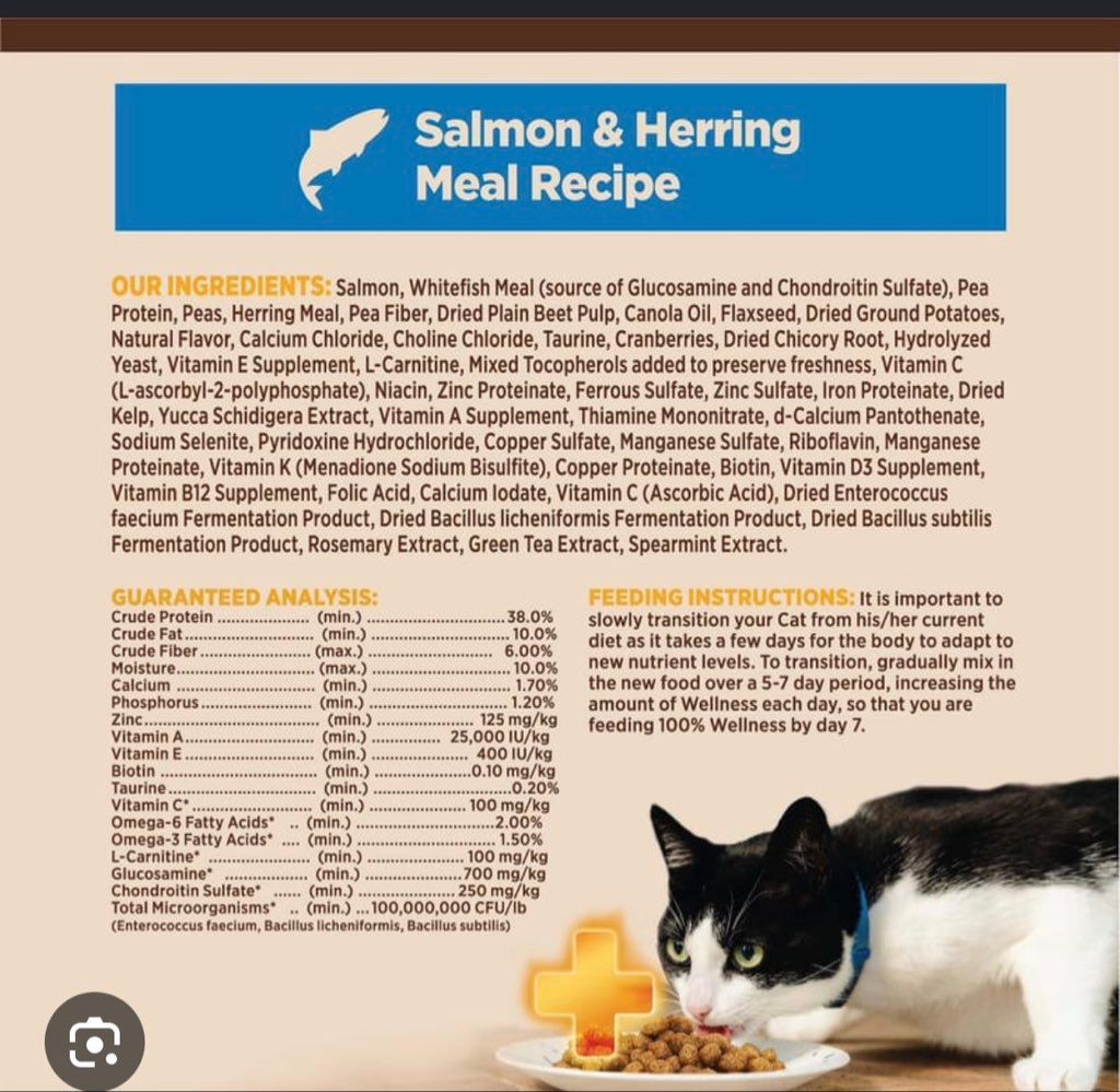 Wellness CORE+ Indoor Adult Salmon & Herring Meal Recipe (2 of 2)