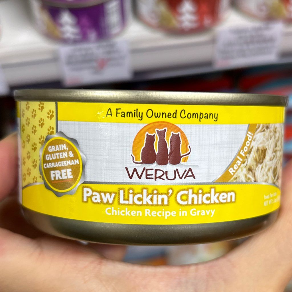 Paw Lickin' Chicken Chicken Recipe in Gravy