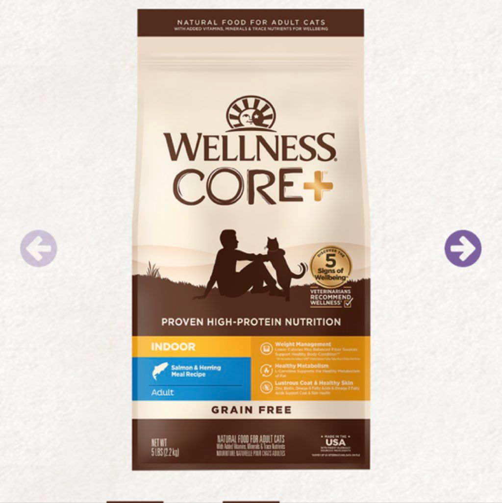 Wellness CORE+ Indoor Salmon & Herring Meal Recipe Adult