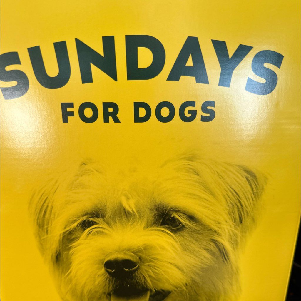 Sundays For Dogs