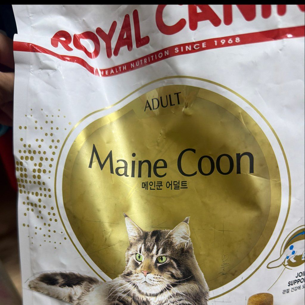 Royal Canin Adult Maine Coon