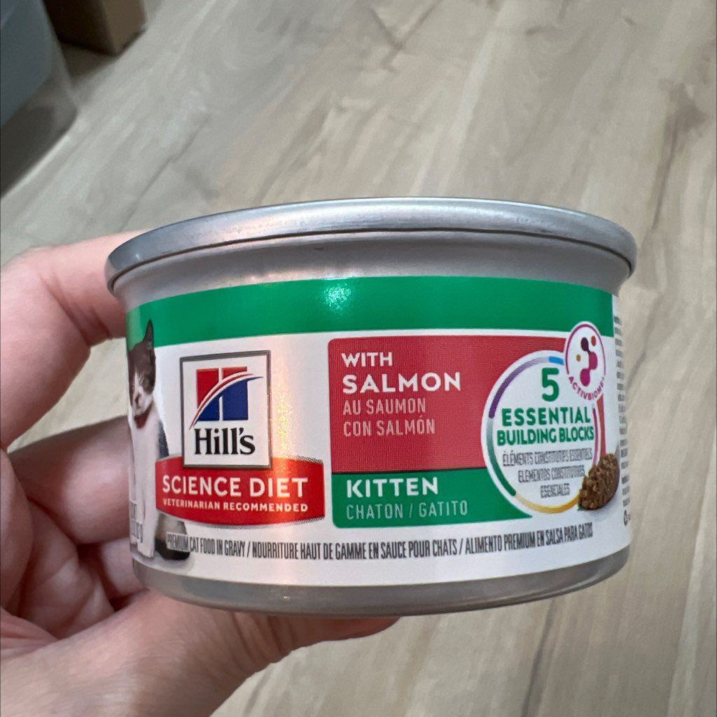 Hill's Science Diet Kitten With Salmon