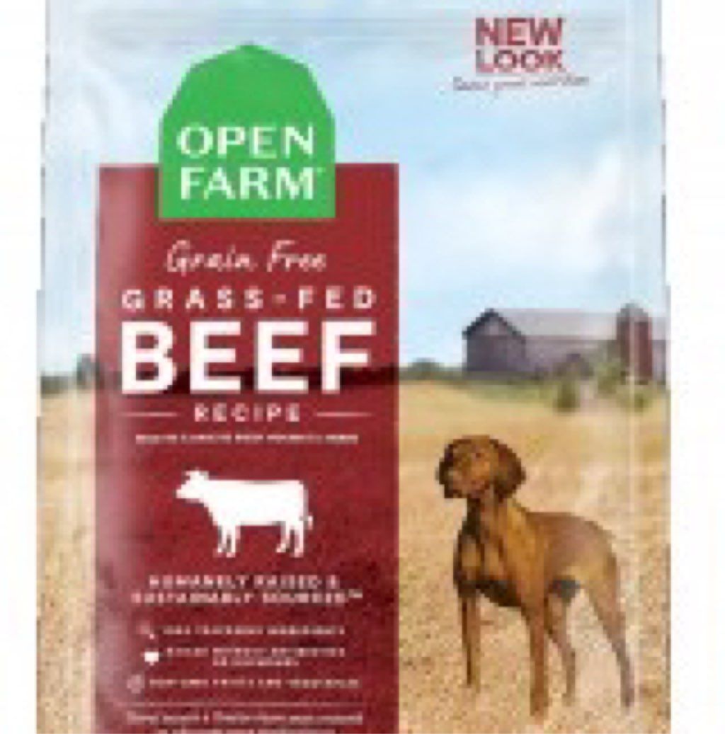 Grain Free Grass-Fed Beef Recipe