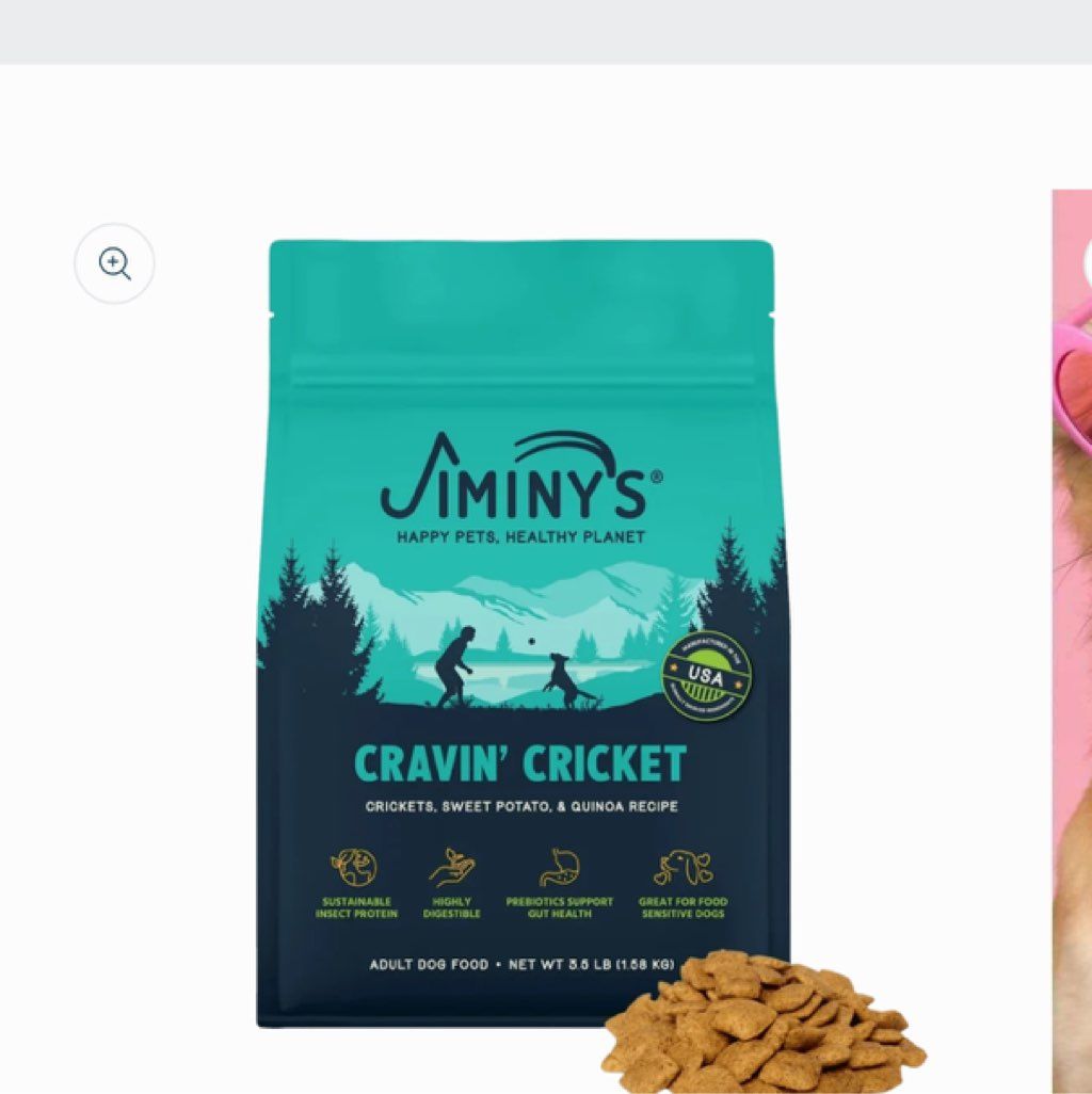 Jiminy's Cravin' Cricket