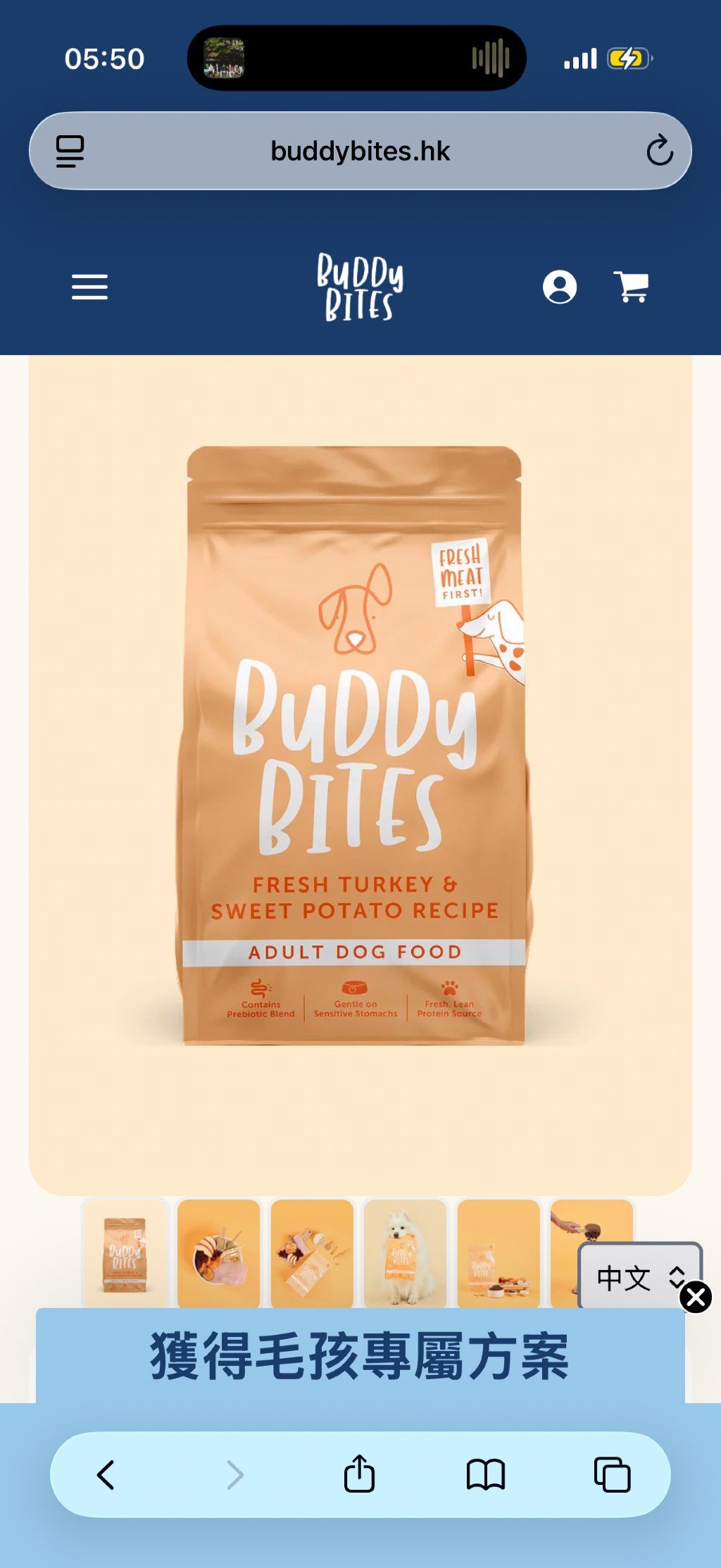 Buddy Bites Fresh Turkey & Sweet Potato Recipe Adult Dog Food