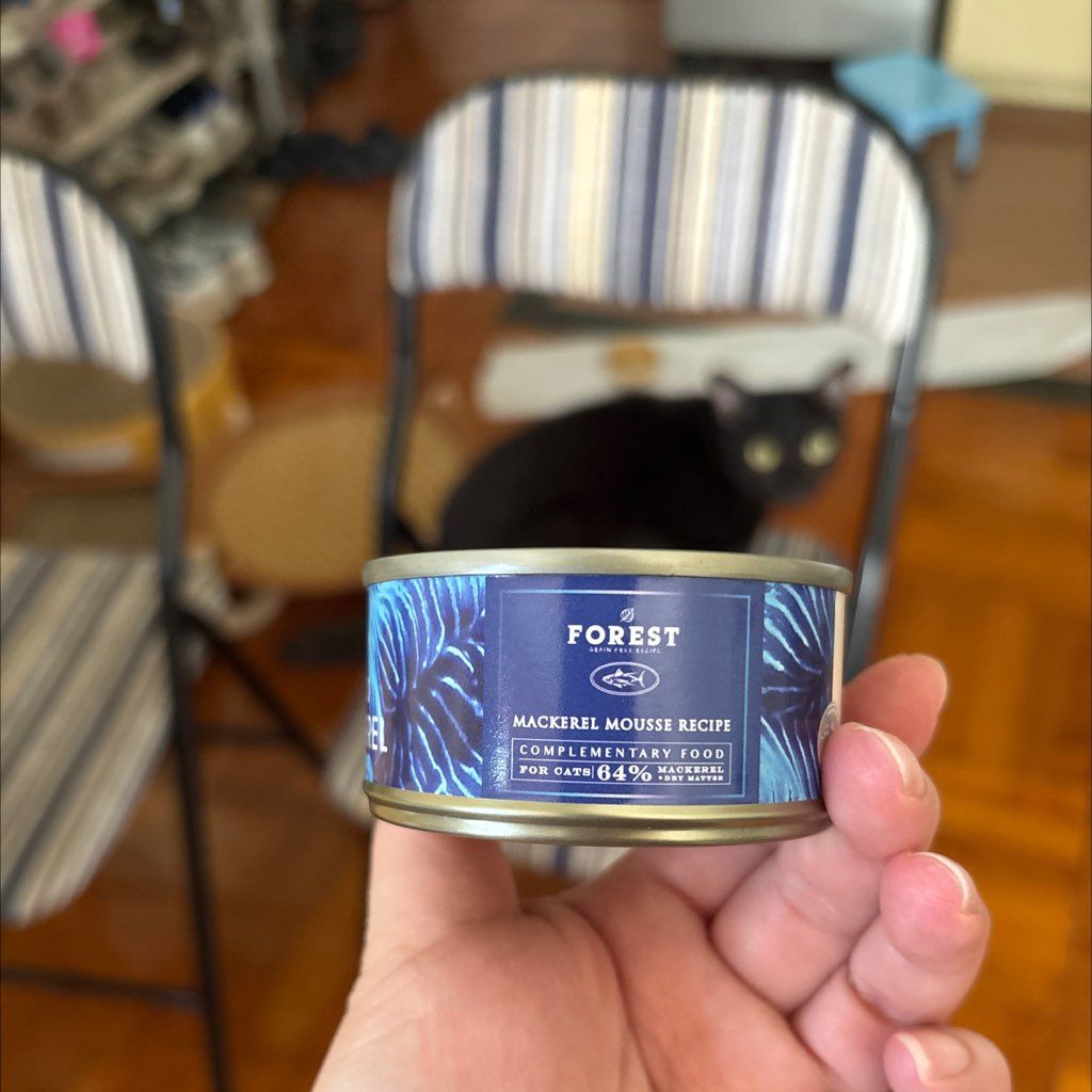 Forest Mackerel Mousse Recipe