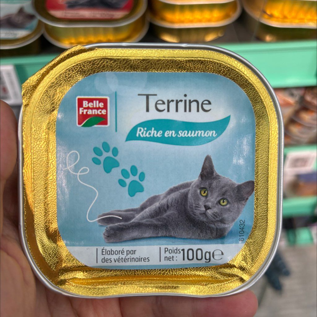 Belle France Terrine Riche en Saumon