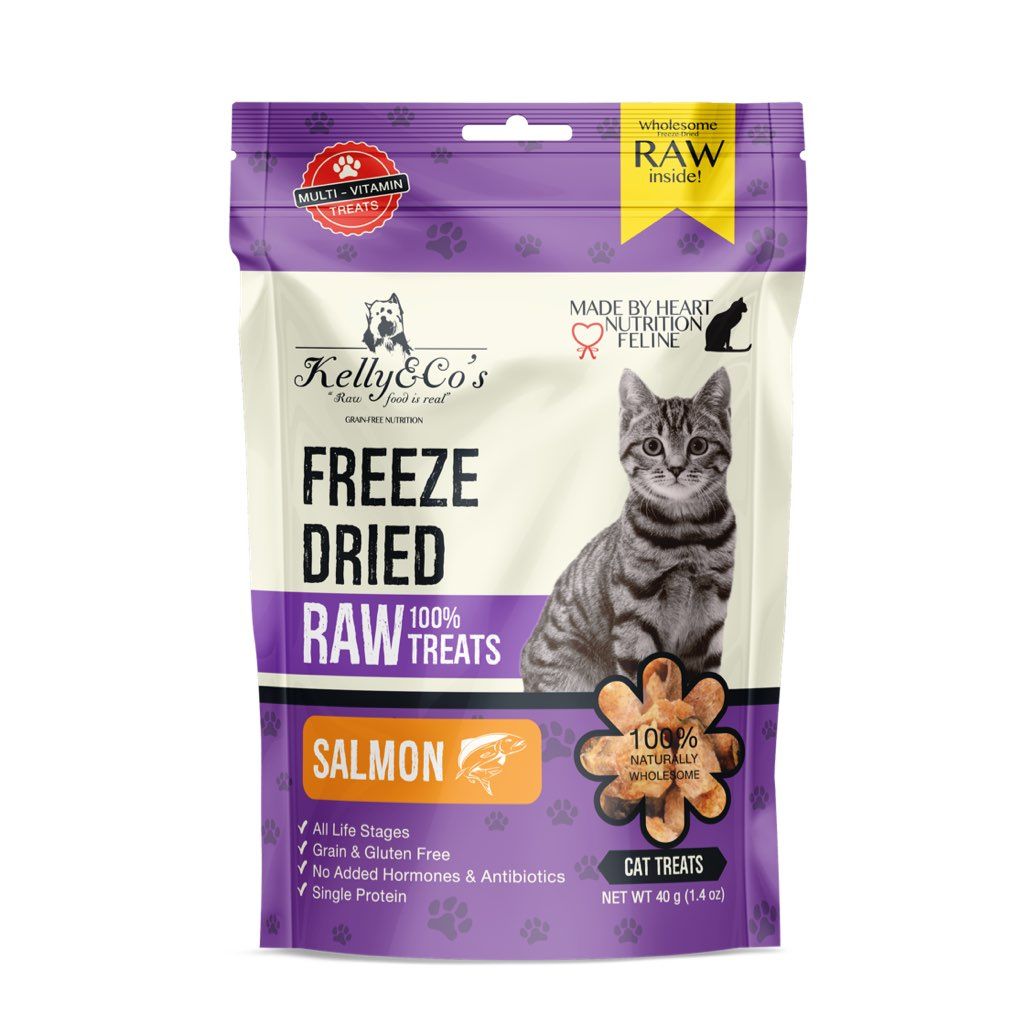 Kelly & Co's Freeze Dried Raw Treats Salmon Cat Treats